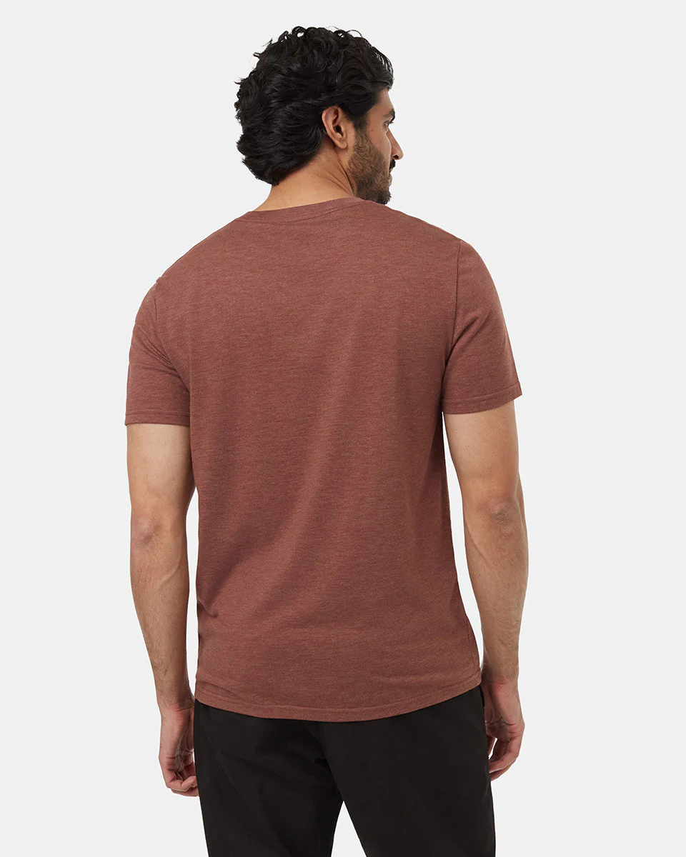 Bear Claw T-Shirt - Image 3