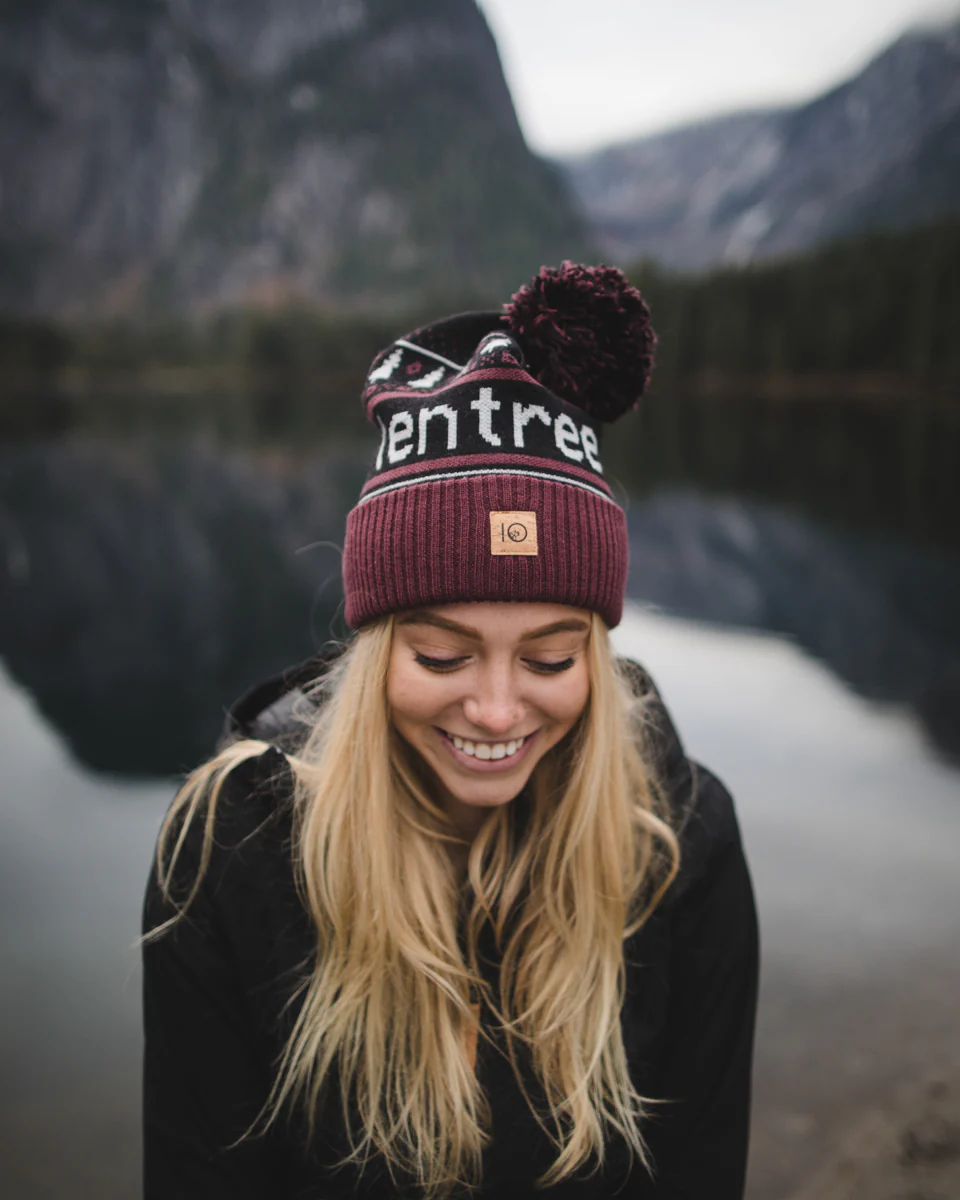 Cabin Pom Beanie - Image 11