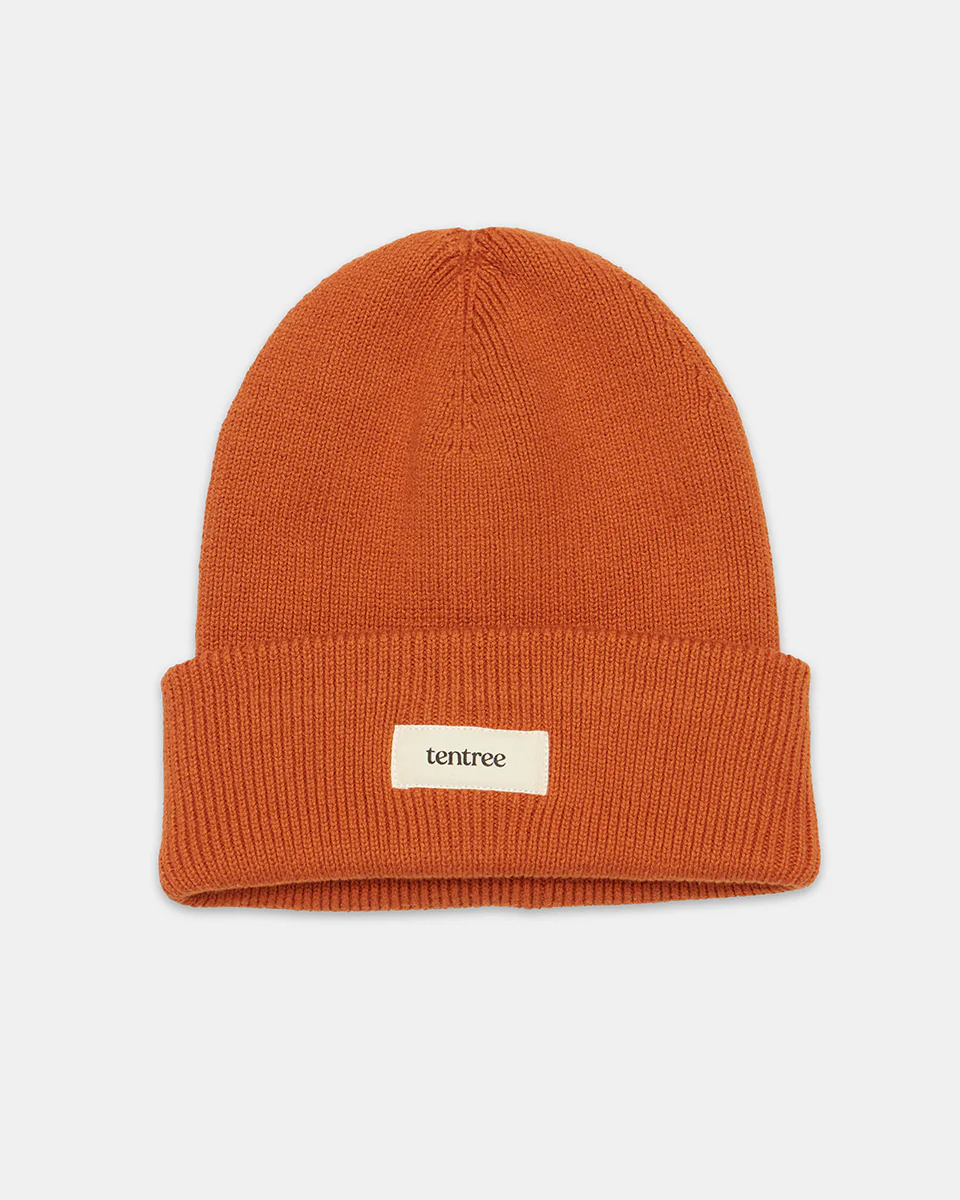 Alden Beanie