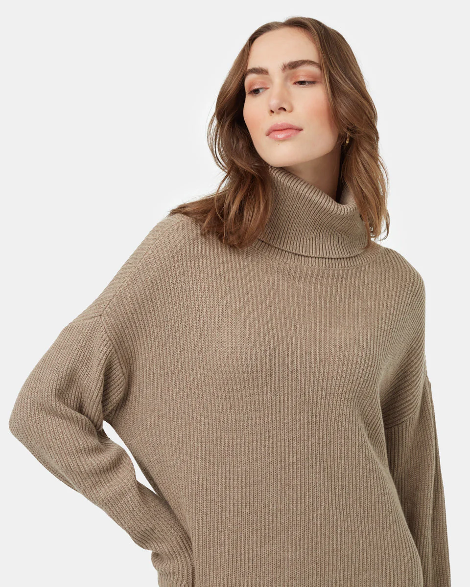Highline Oversized Turtleneck Dress - Image 4
