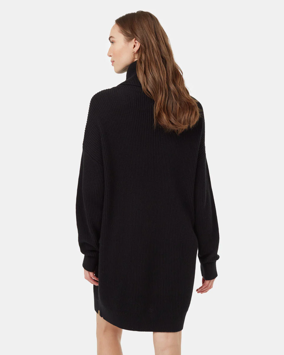 Highline Oversized Turtleneck Dress - Image 3