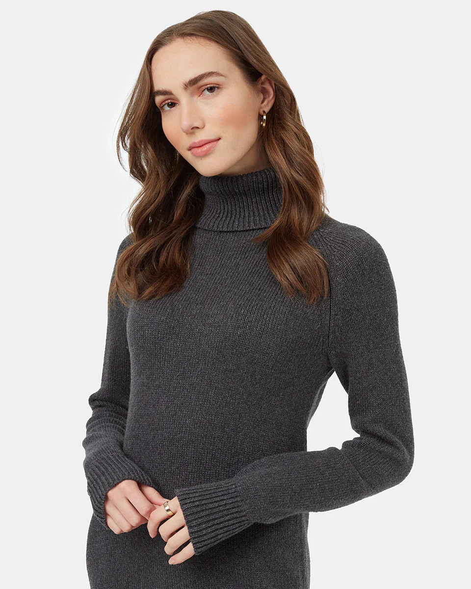 Highline Turtleneck Maxi Dress - Image 4