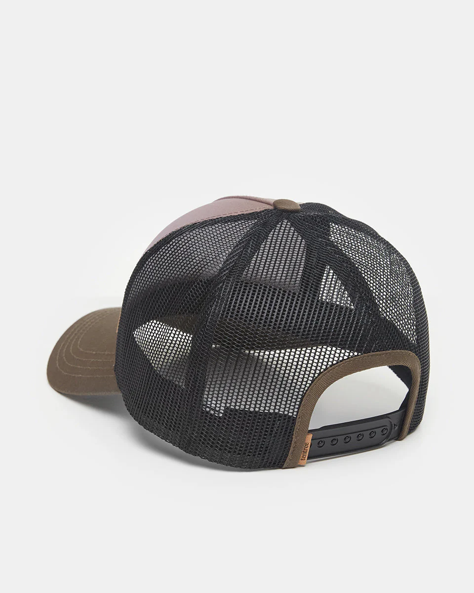Juniper Altitude Hat - Image 3