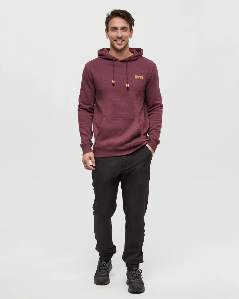 Juniper Cork Patch Hoodie - Image 2