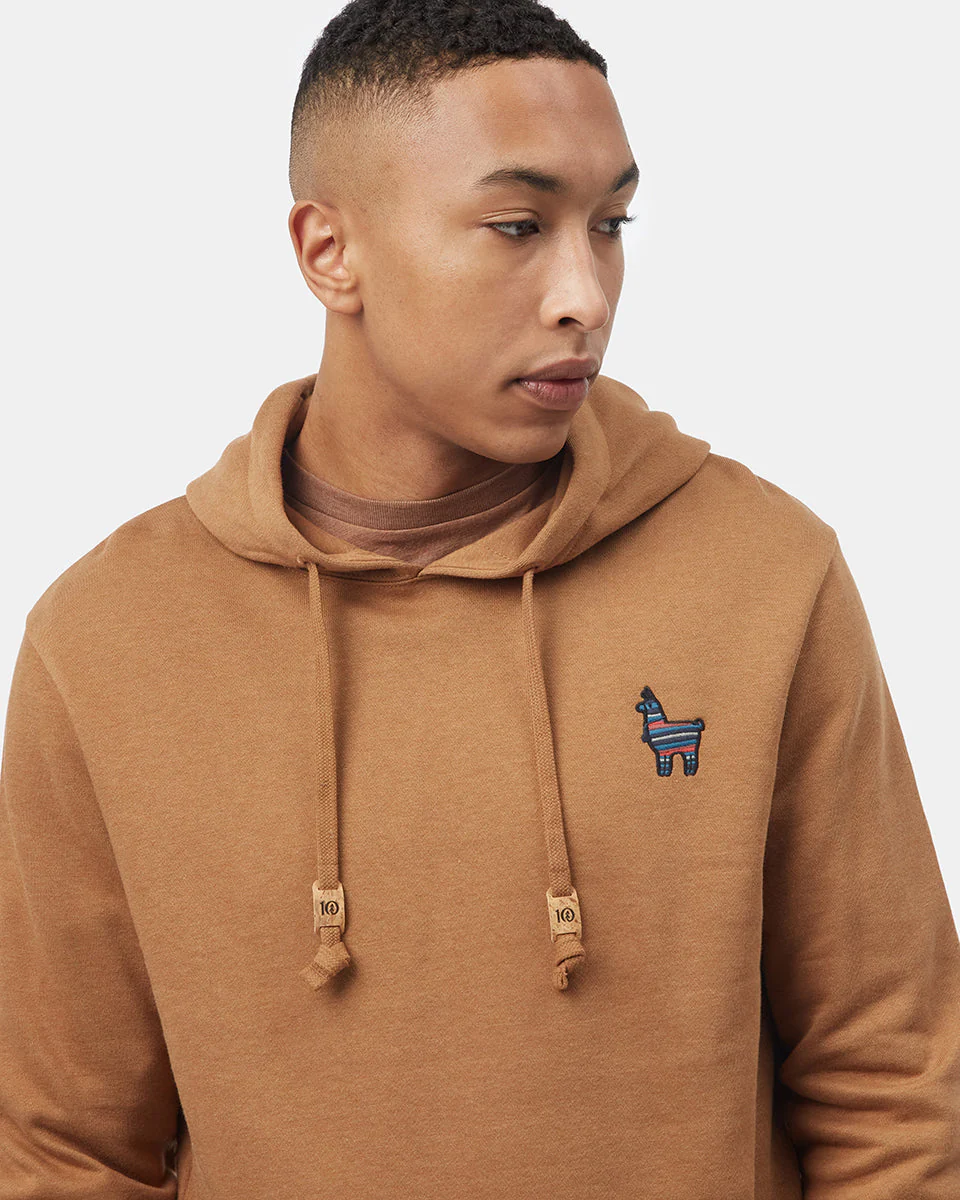 Peru Embroidered Llama Hoodie - Image 4