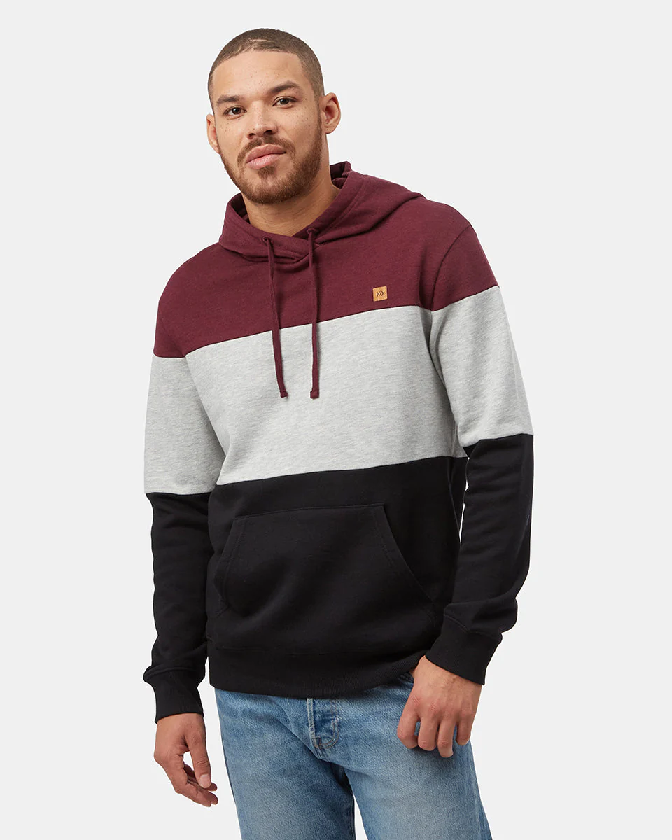 TreeFleece Blocked Reynard Hoodie - Image 2