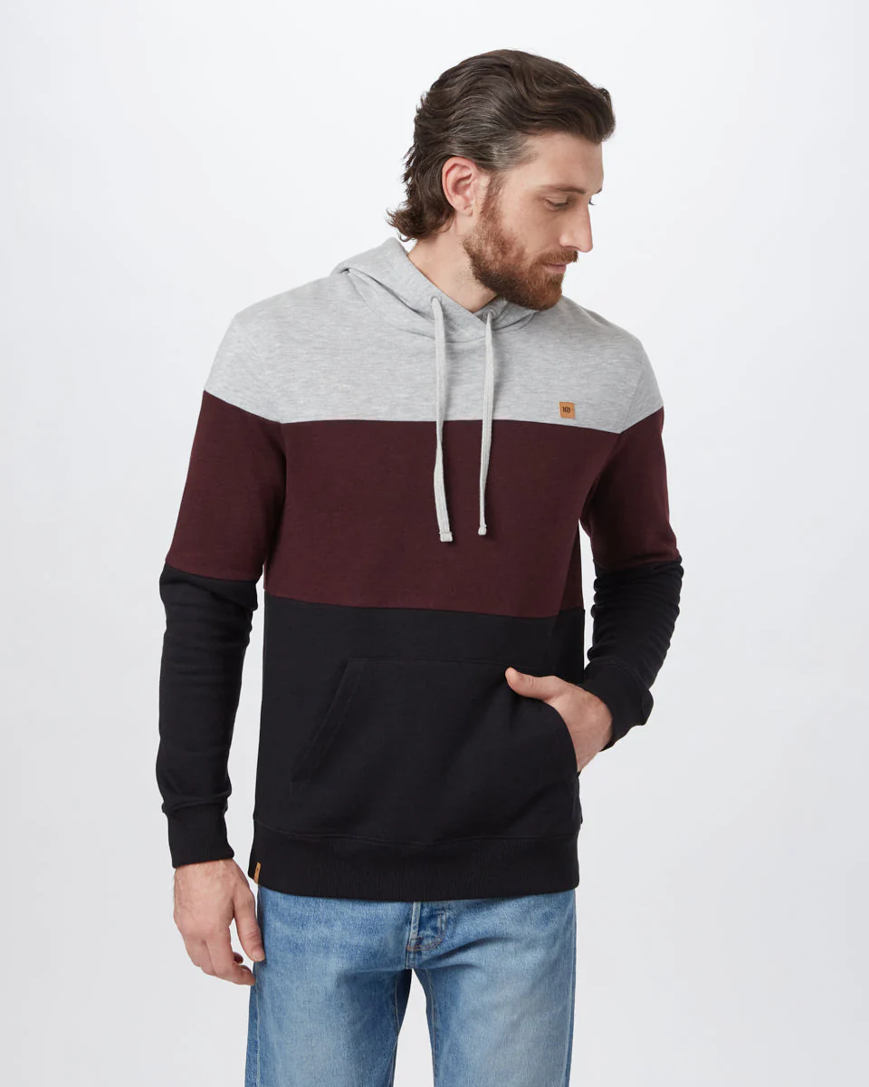 TreeFleece Blocked Reynard Hoodie - Image 2
