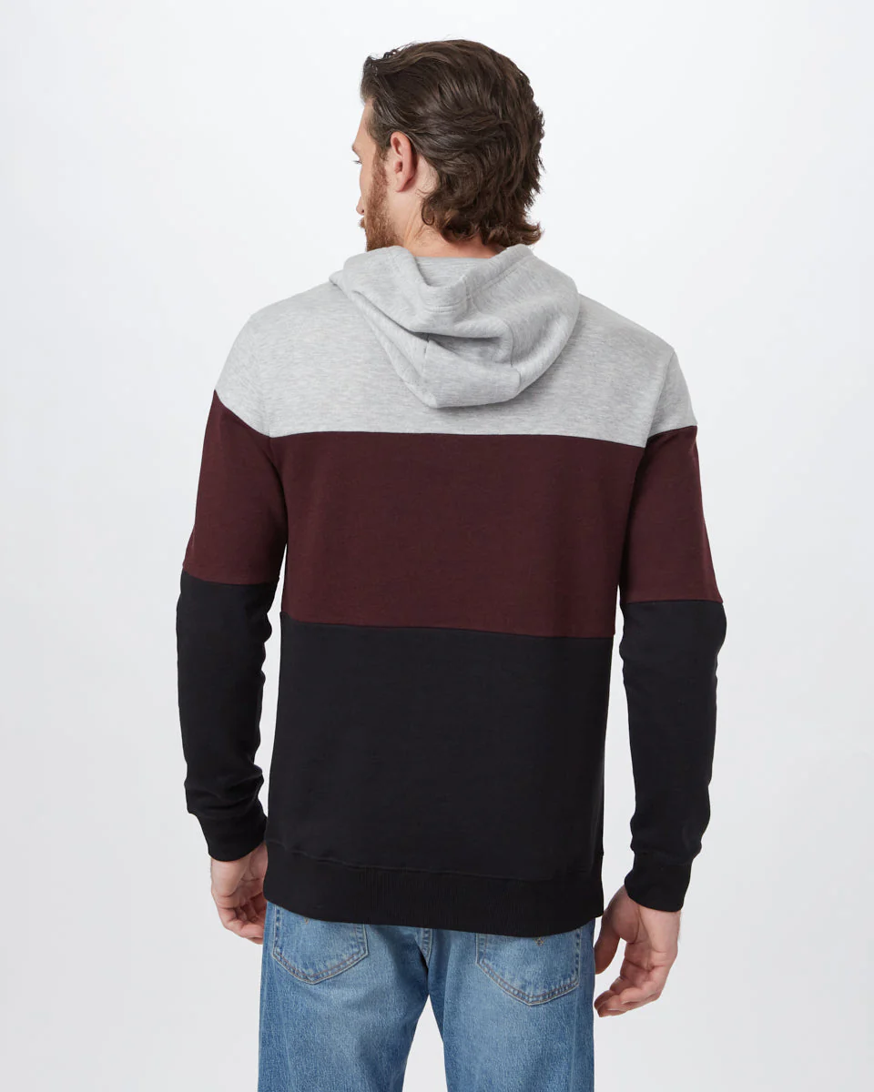 TreeFleece Blocked Reynard Hoodie - Image 3
