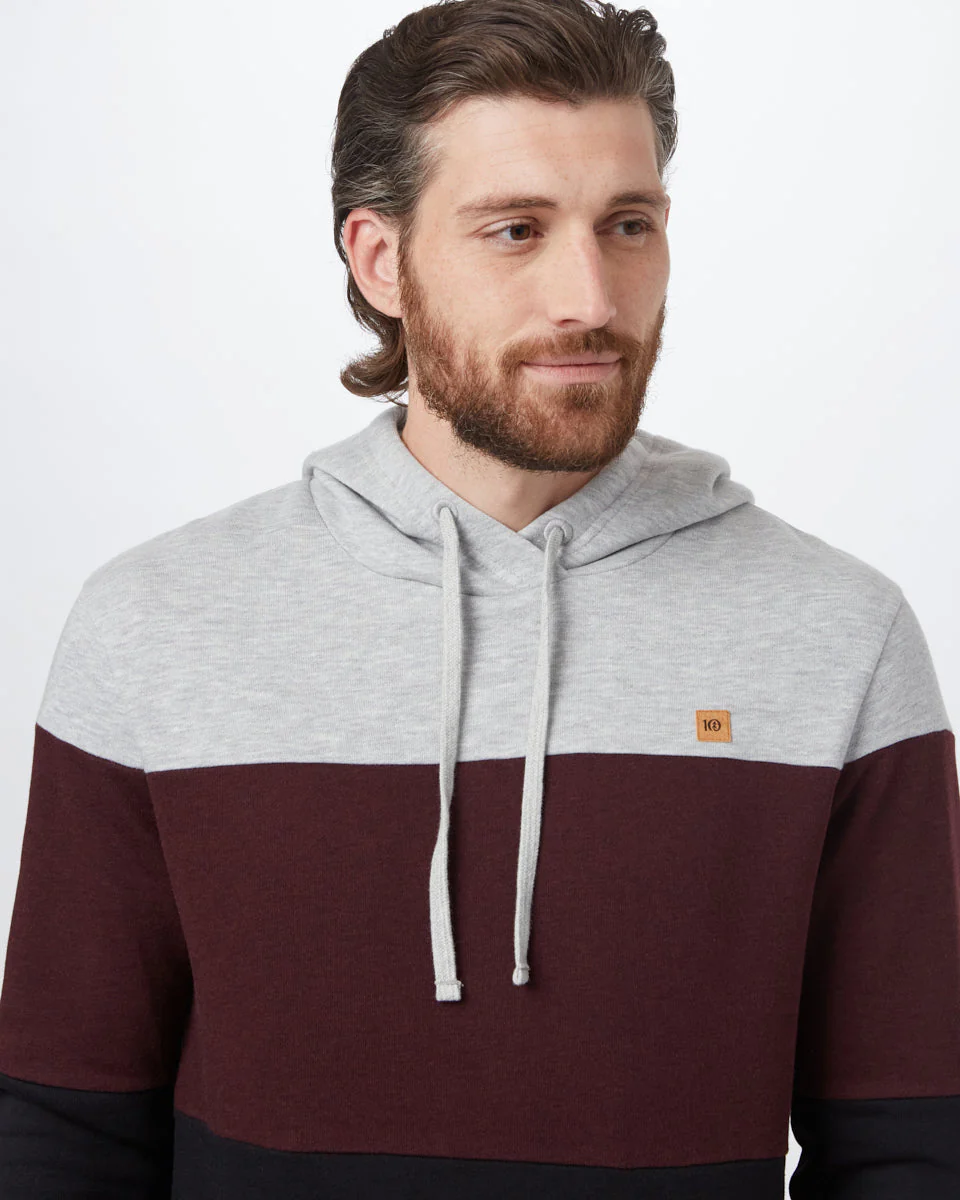 TreeFleece Blocked Reynard Hoodie - Image 4