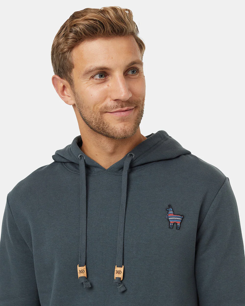Peru Embroidered Llama Hoodie - Image 4