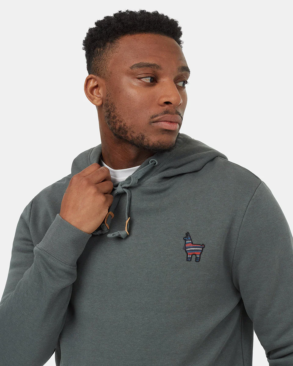 Peru Embroidered Llama Hoodie - Image 4