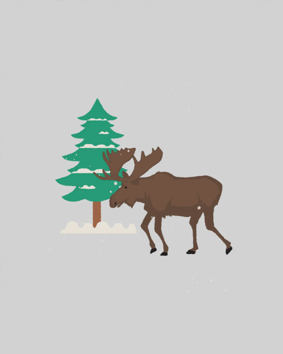 Plant in a Boreal Forest - Image 2