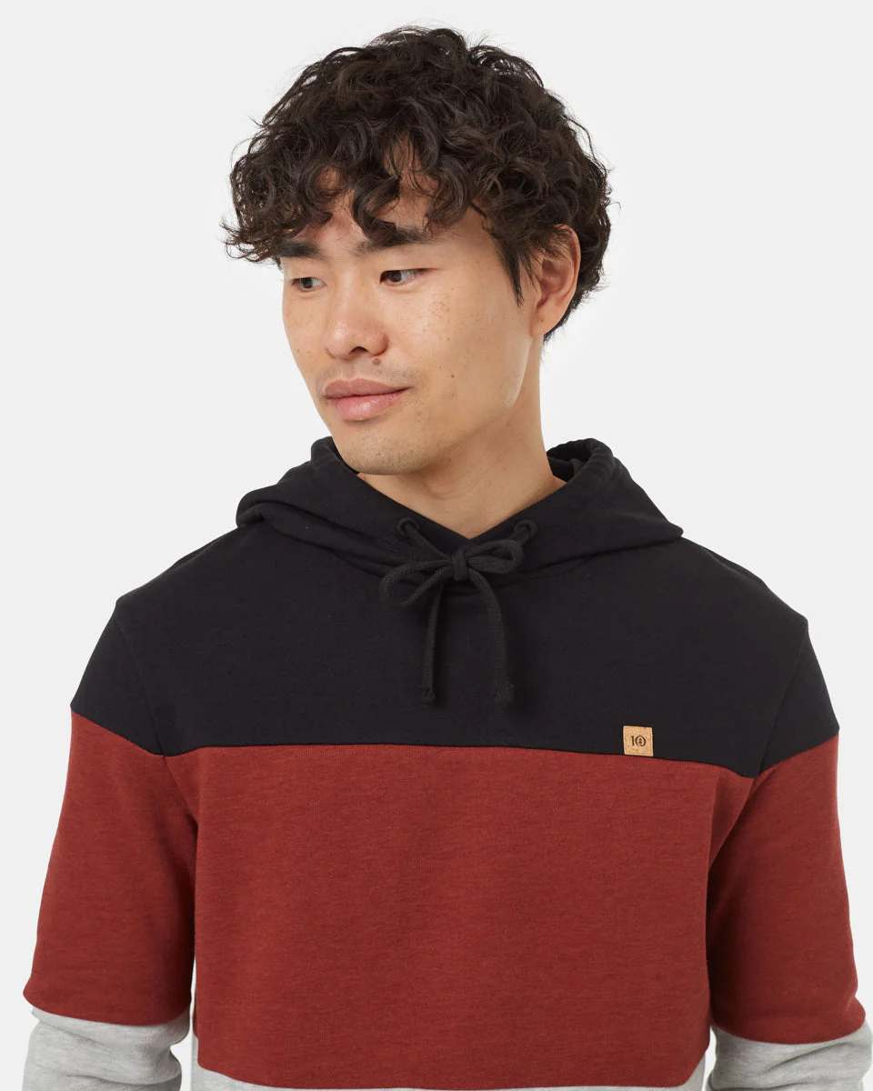 TreeFleece Blocked Reynard Hoodie - Image 4