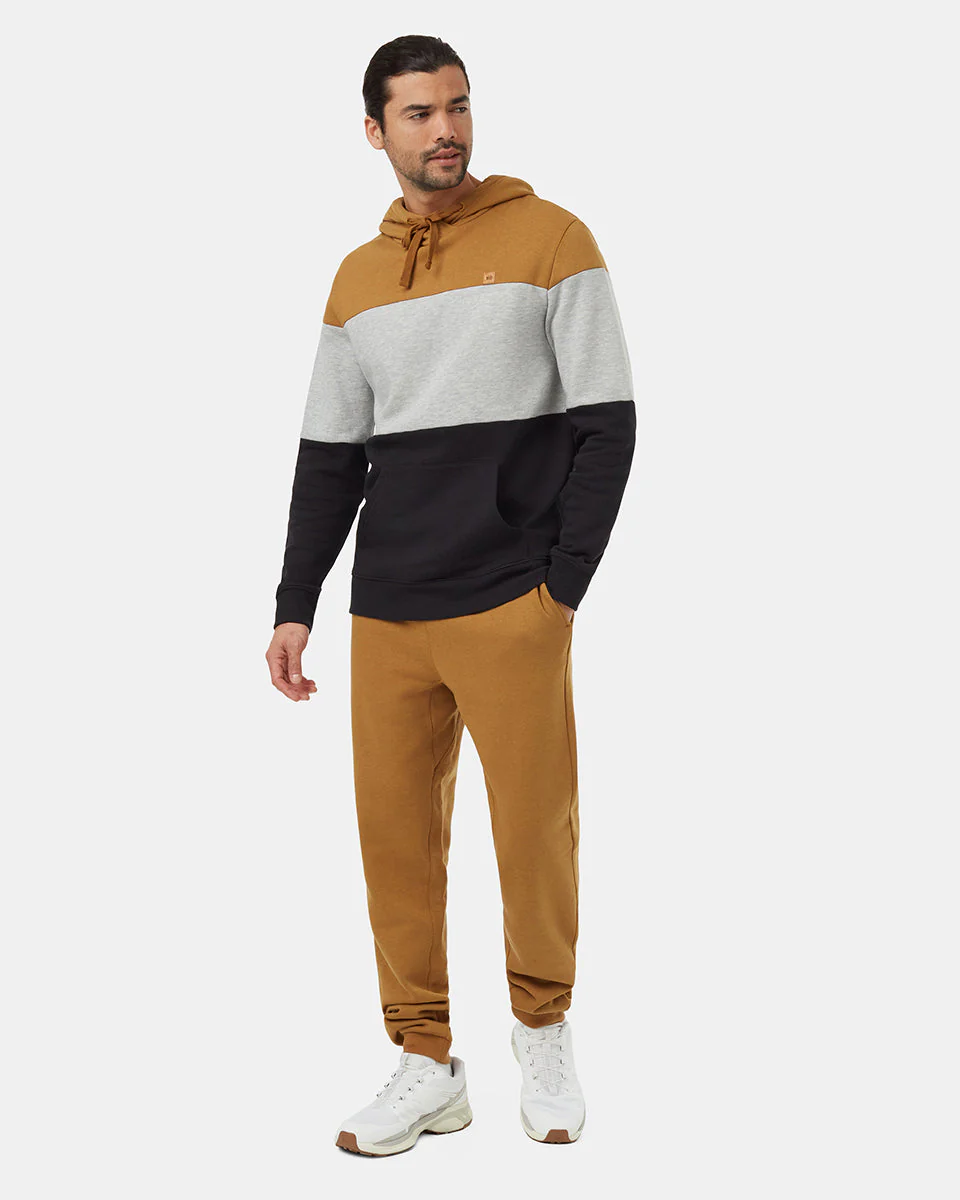 TreeFleece Blocked Reynard Hoodie - Image 2