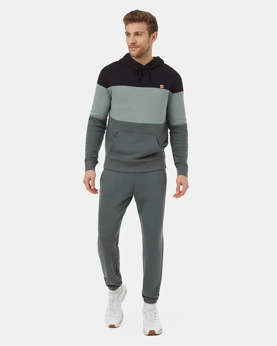 TreeFleece Blocked Reynard Hoodie - Image 2