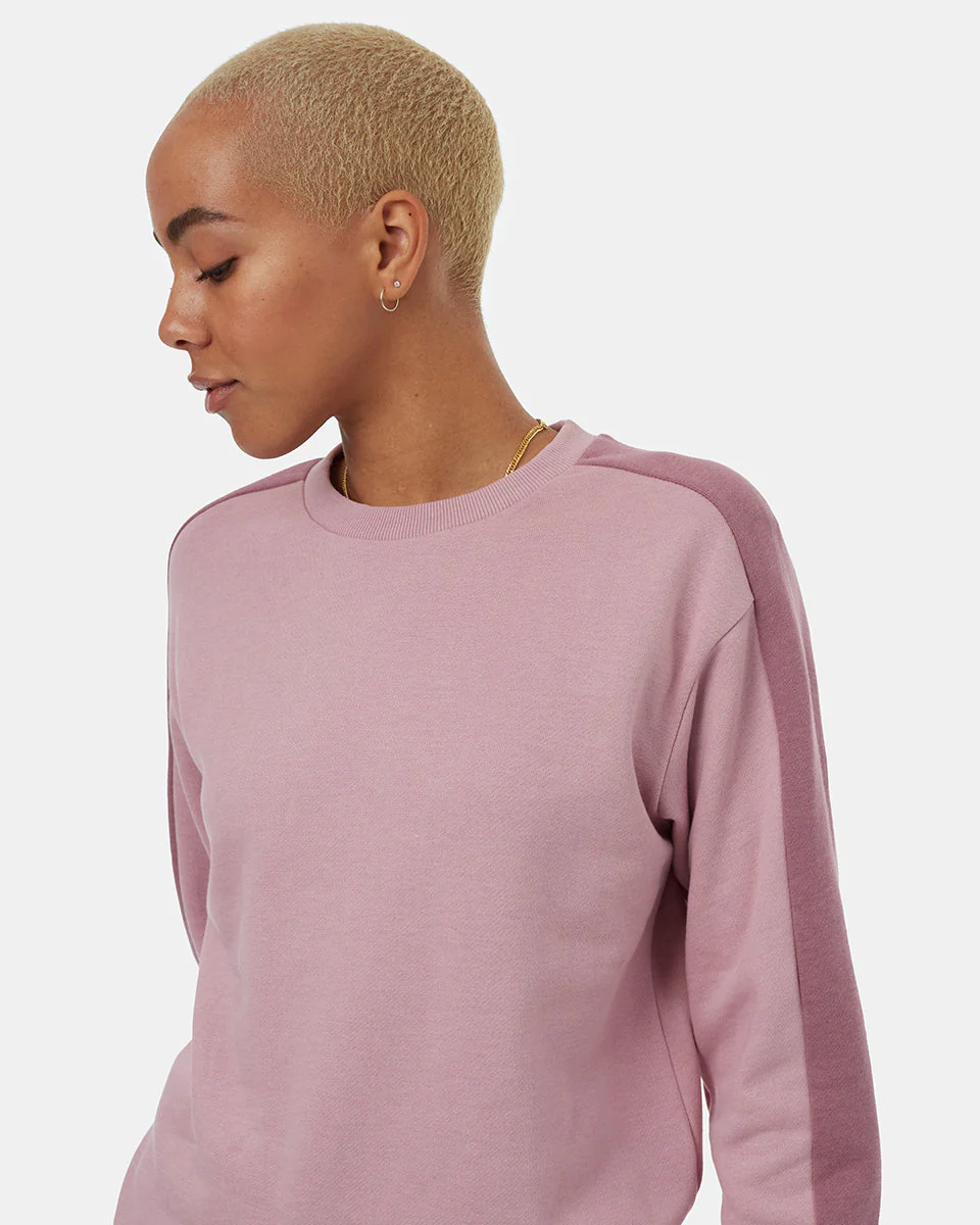 Blocked Sleeve Stripe Crew - Image 5