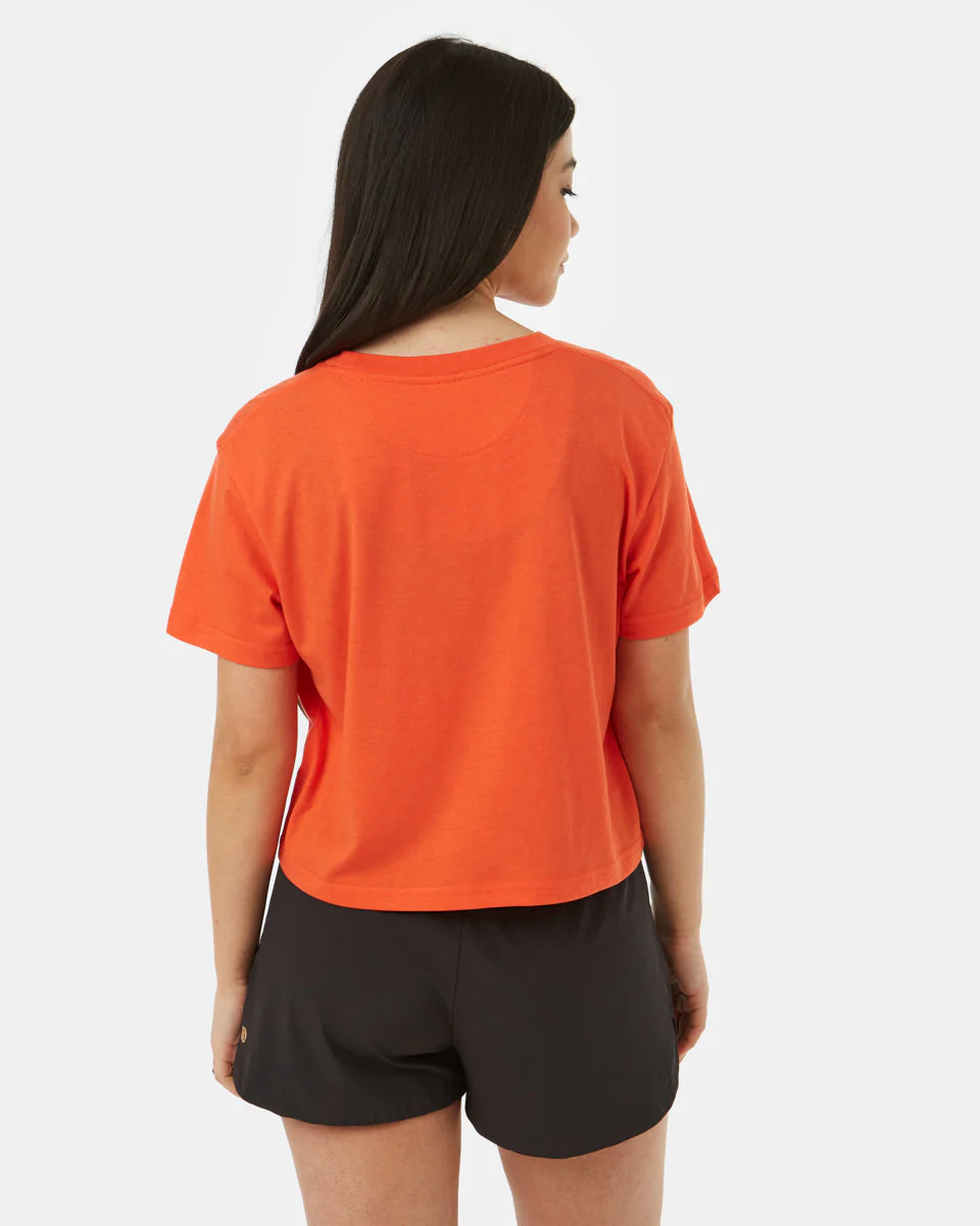 TreeBlend Cropped Relaxed T-Shirt - Image 4