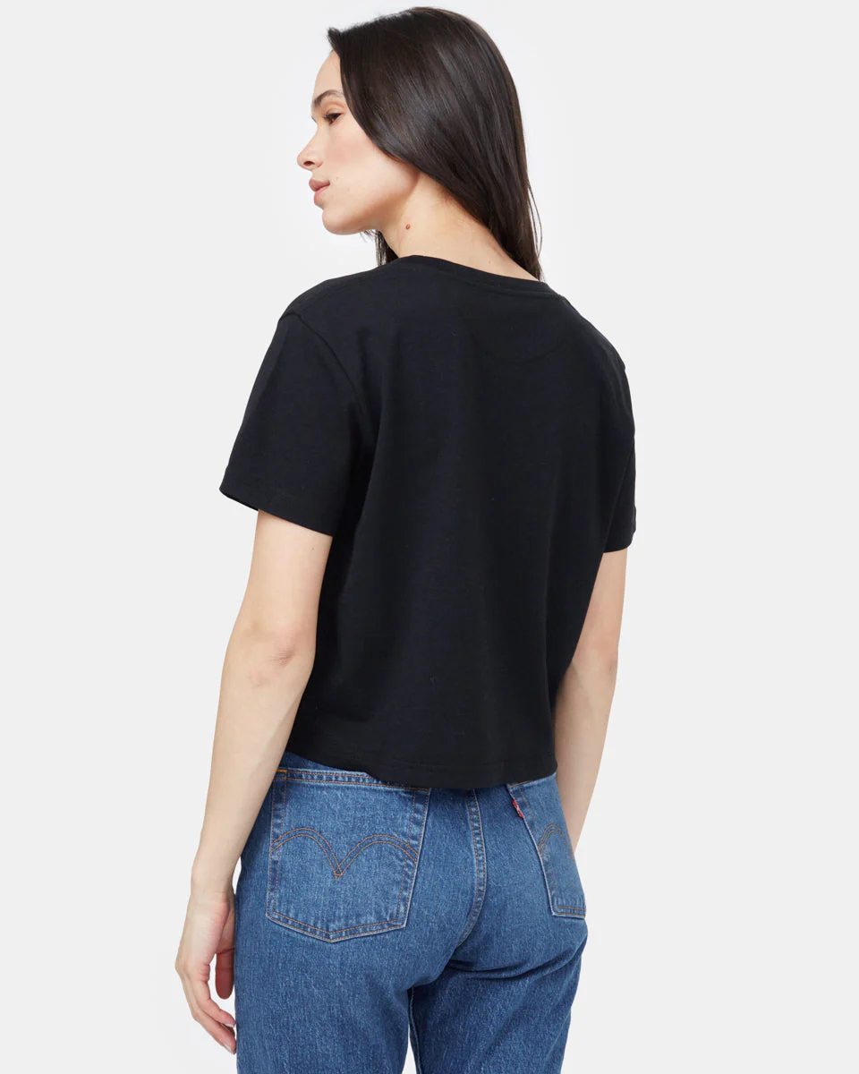 Golden Spruce Crop T-Shirt - Image 3