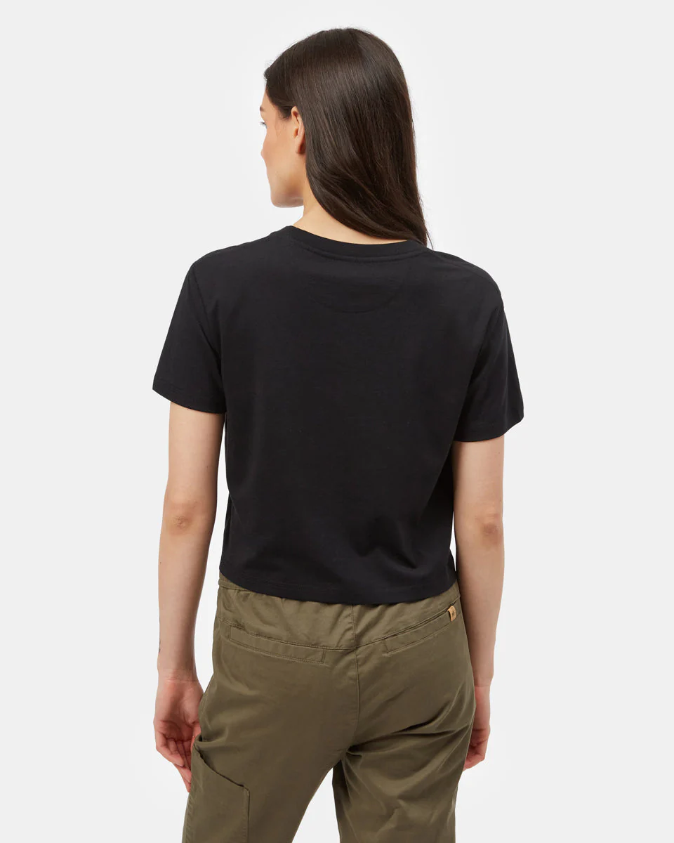 Golden Spruce Crop T-Shirt - Image 4