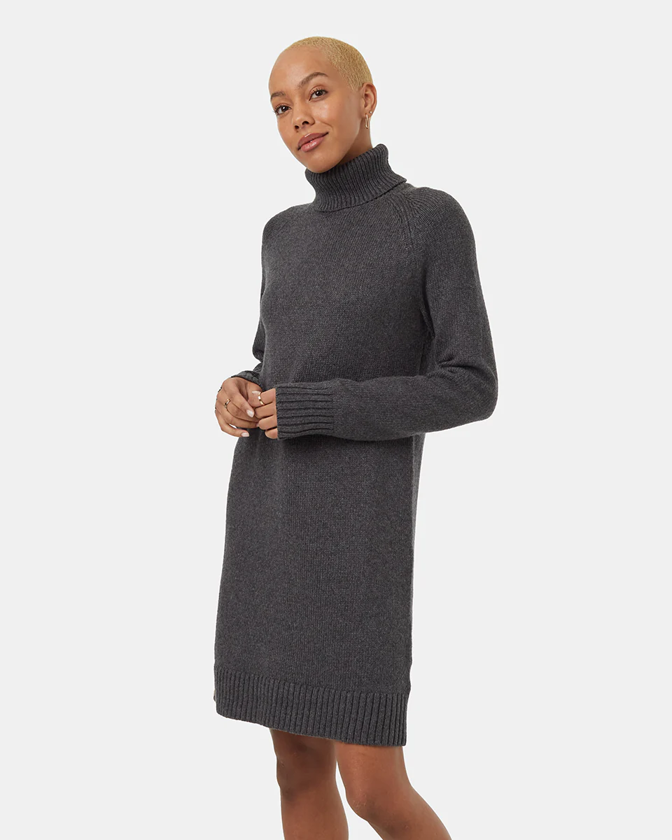 Highline Turtleneck Dress - Image 2