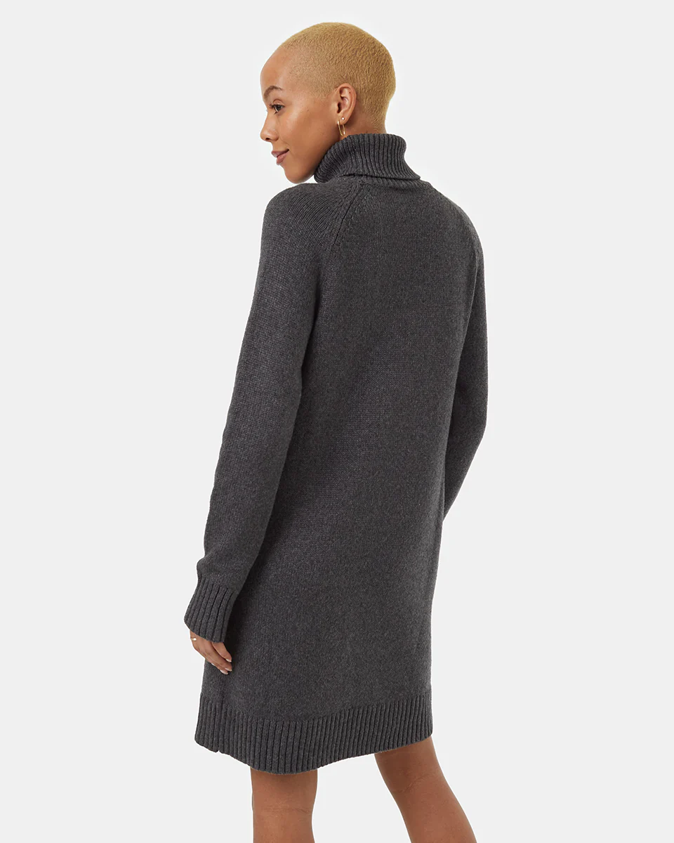 Highline Turtleneck Dress - Image 3