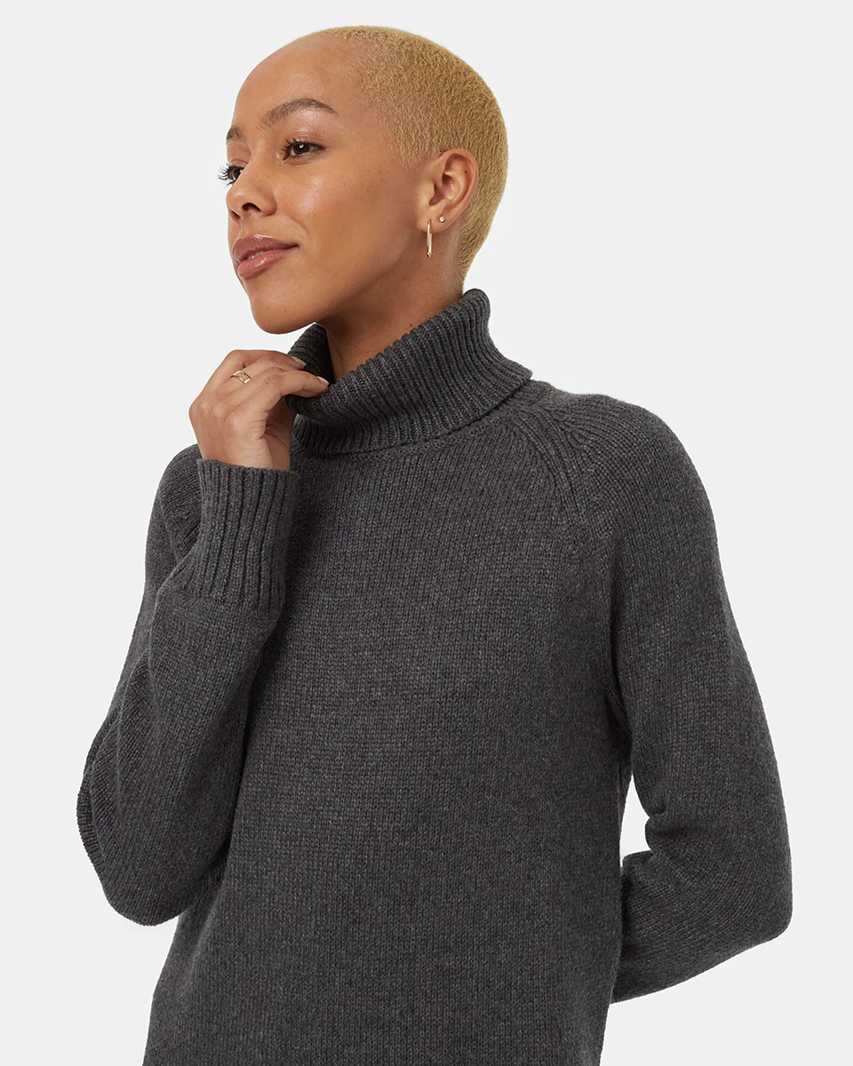Highline Turtleneck Dress - Image 4