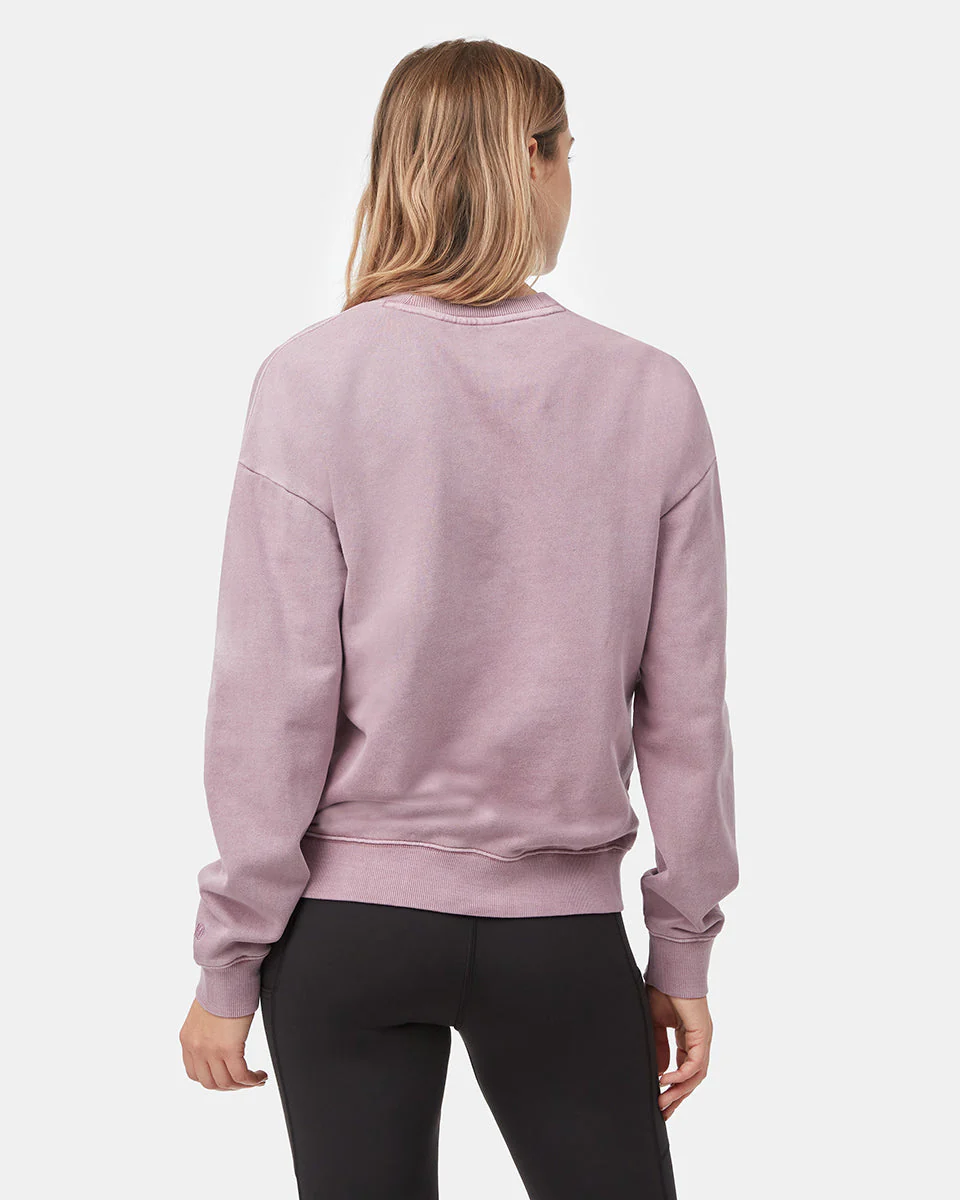 Organic Cotton French Terry Crew - Image 3