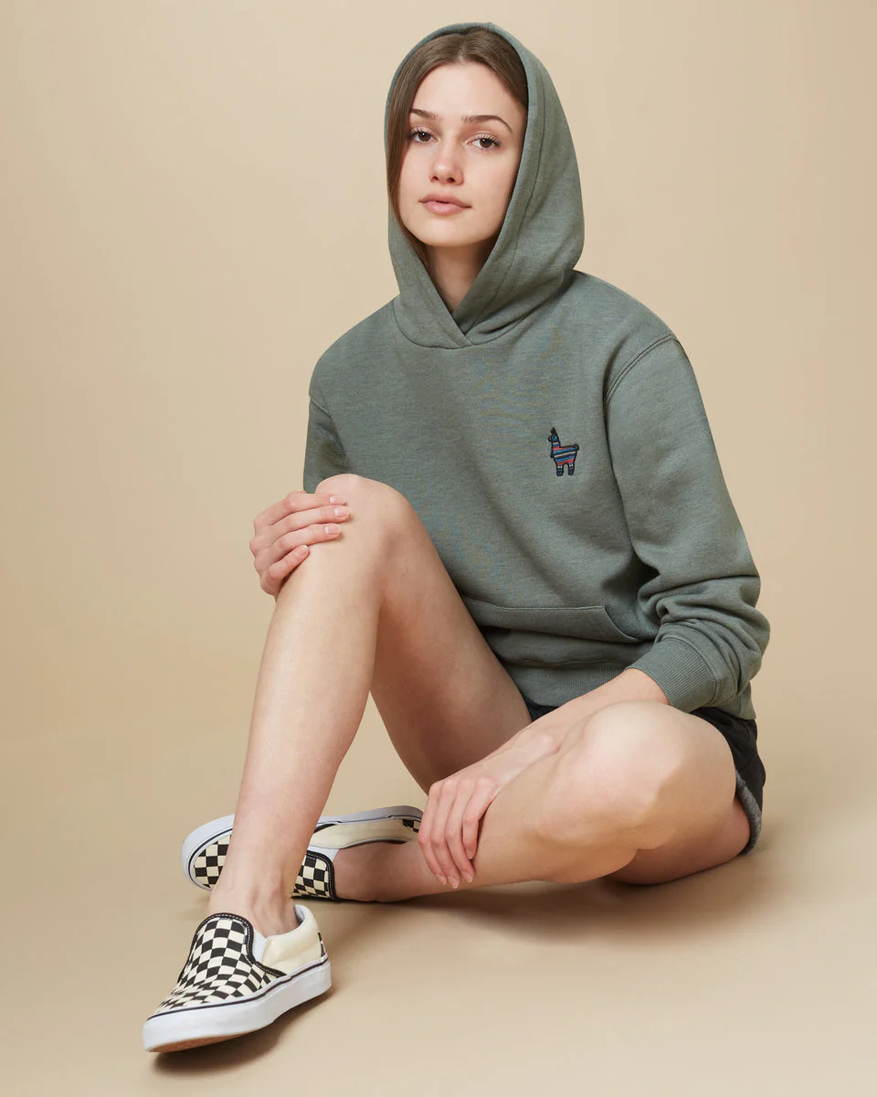 Peru Embroidered Llama Hoodie - Image 4