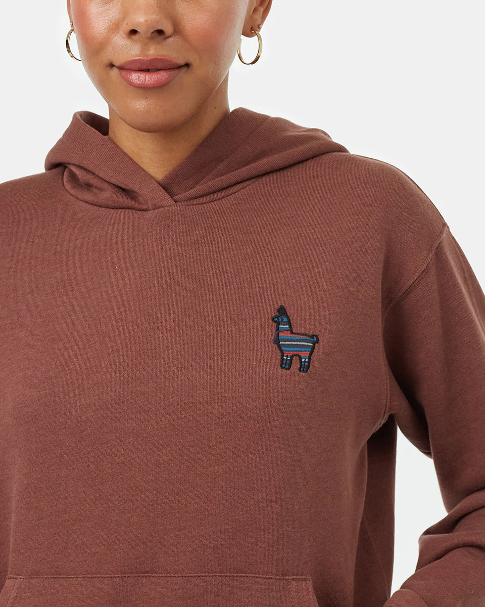 Peru Embroidered Llama Hoodie - Image 4