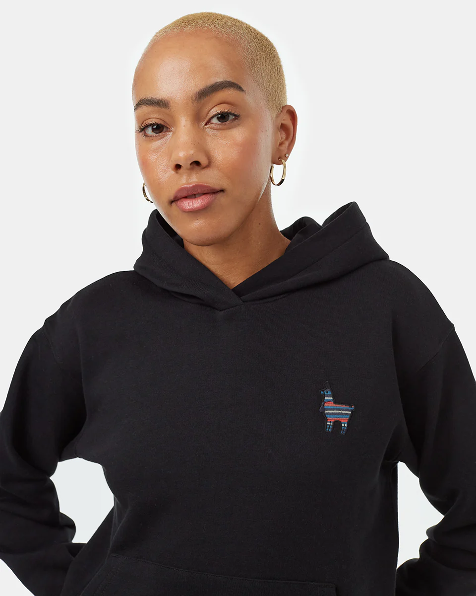 Peru Embroidered Llama Hoodie - Image 4
