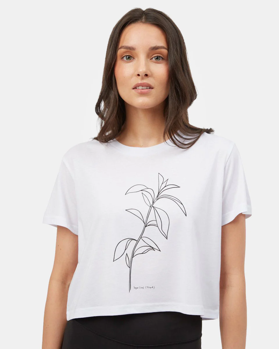 Sugar Leaf Cropped T-Shirt - Image 4