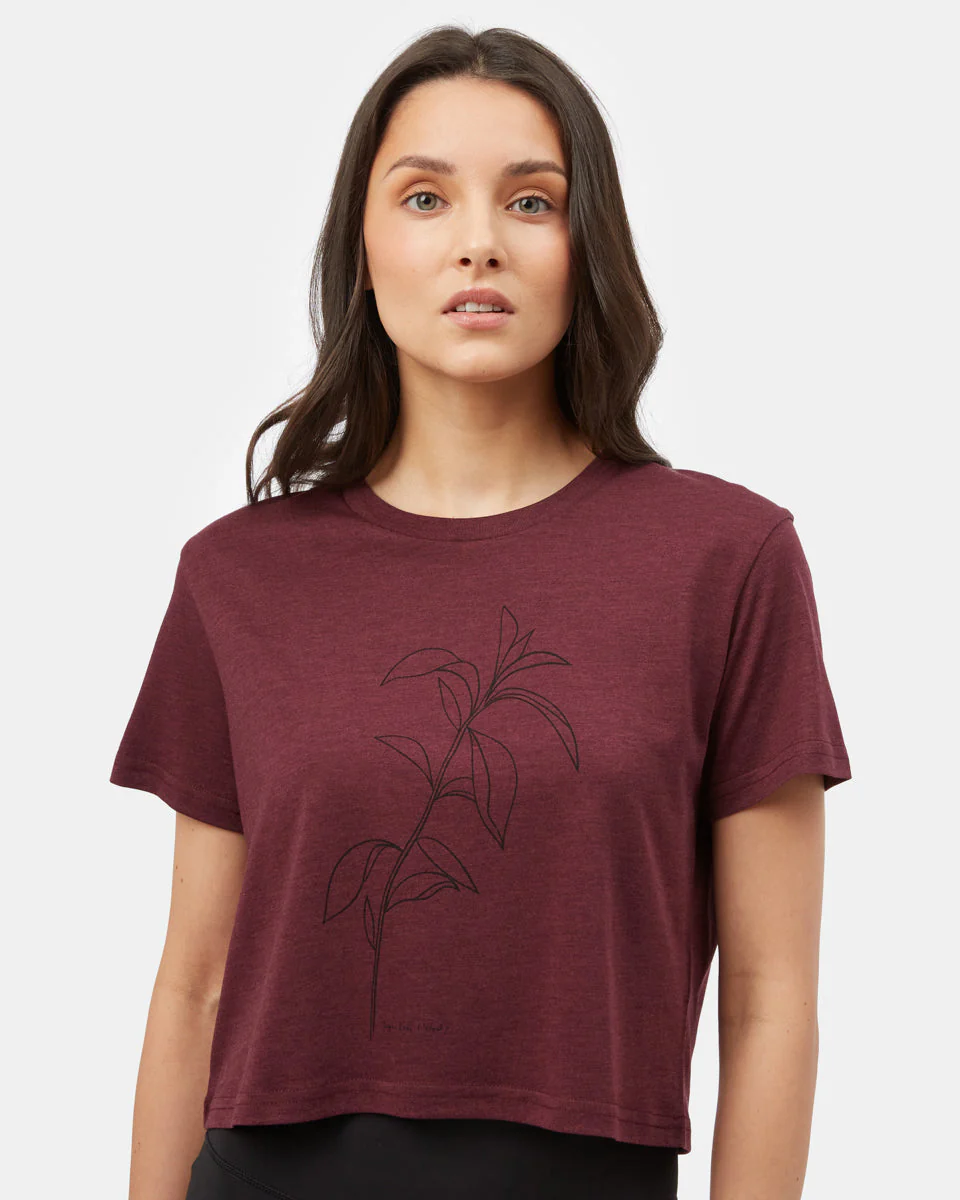 Sugar Leaf Cropped T-Shirt - Image 4